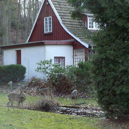 란데르스 Skovvej Holiday House 1 빌라 외부 사진