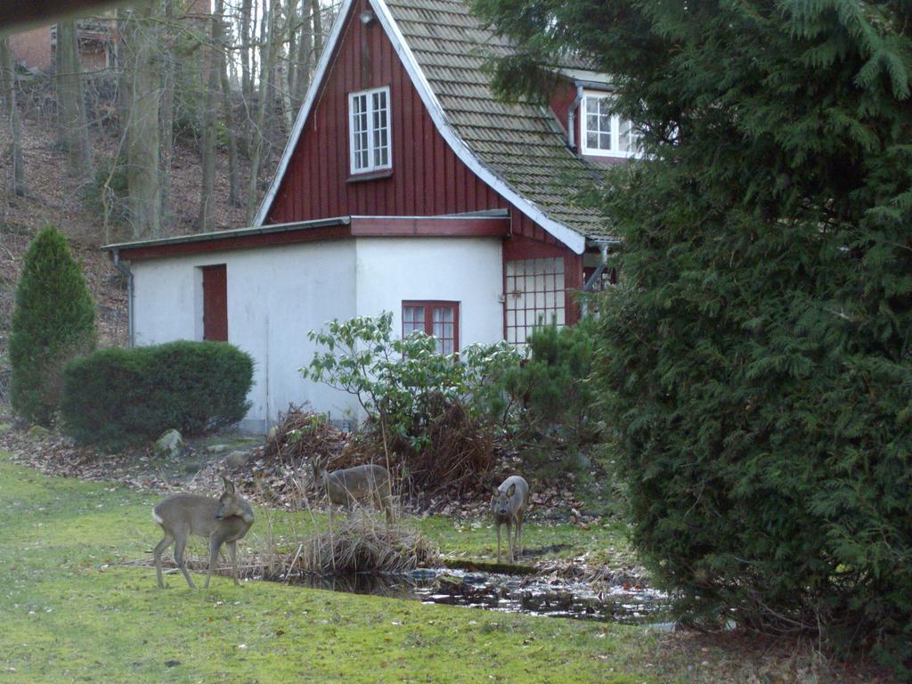 란데르스 Skovvej Holiday House 1 빌라 외부 사진